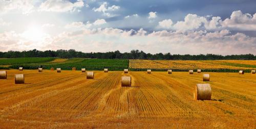 Buy land in Bulgaria