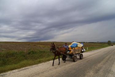 The Roma in Bulgarian villages