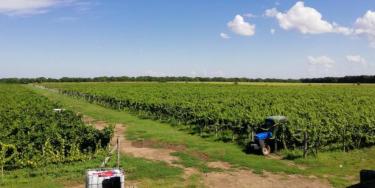 Buy a farm in Bulgaria