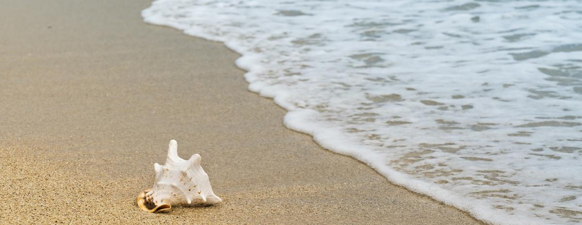 Beaches of Bulgaria awarded the Blue Flag in 2020