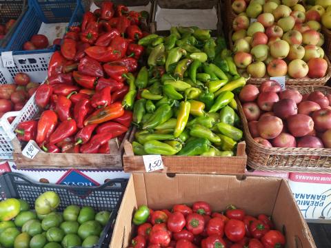 How much does life in Bulgaria cost: current prices for goods and services