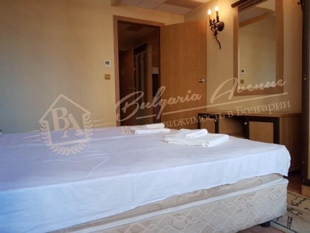1-bedroom apartment, Atrium, Elenite