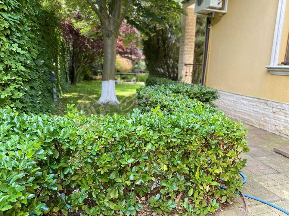 Luxury house with swimming pool and private garden in the Trakata area, Varna